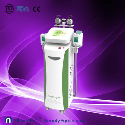 ผล cryolipolysis อุปกรณ์ความงามของร่างกายลดน้ำหนักที่น่าตื่นตาตื่นใจเร็วสุดในการลดน้ำหนัก